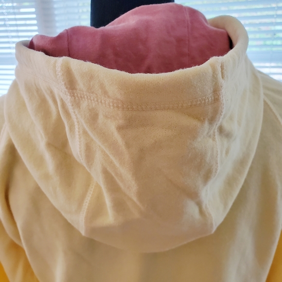 The North Face Hoodie Sweatshirt Womens Kangaroo pockets L Large Soft Logo front - Picture 4 of 5